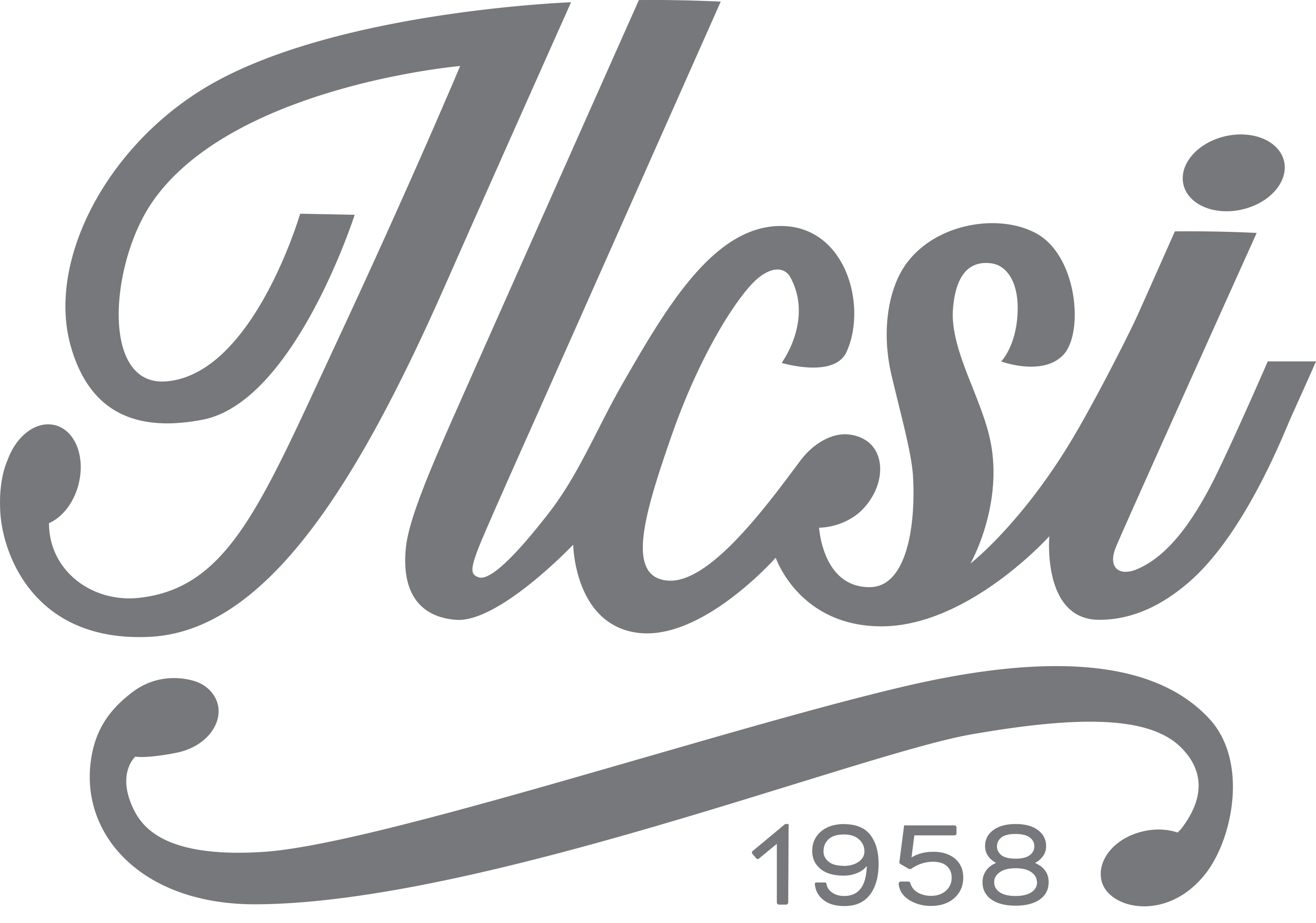 Ilcsi Natural Skincare